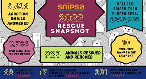 sdnpsa|SNIPSA .